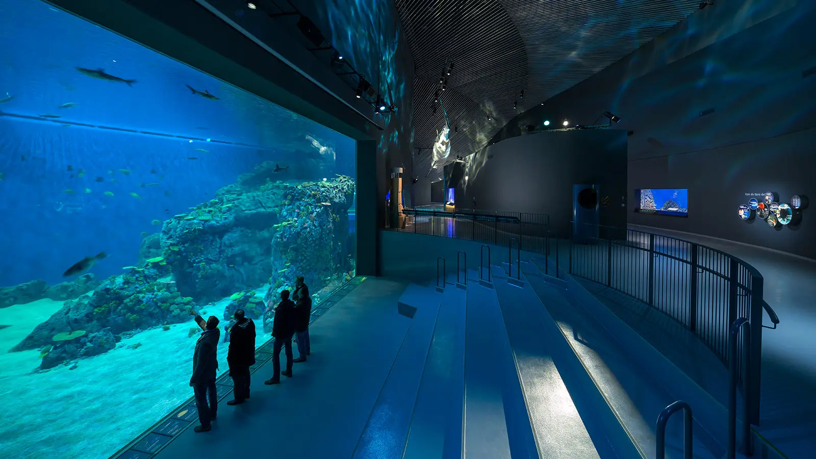 Meyer Sound D-Mitri Orchestrates Immersive Sonic Experience at The Blue Planet, National Aquarium Denmark