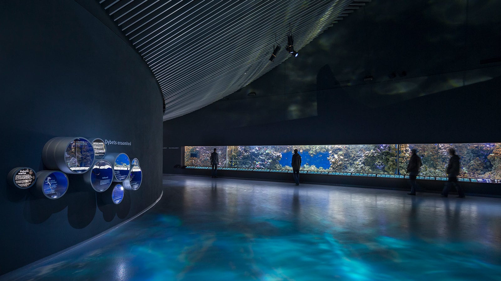 Meyer Sound D-Mitri Orchestrates Immersive Sonic Experience at The Blue Planet, National Aquarium Denmark