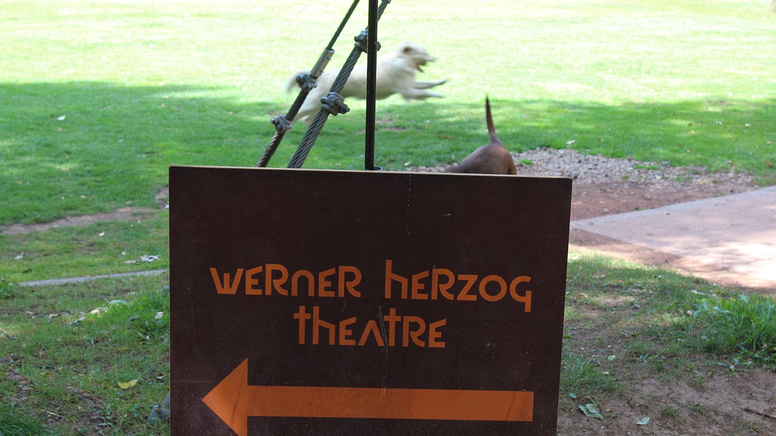 Meyer Sound Returns to Telluride Film Festival’s Famed Werner Herzog Theater