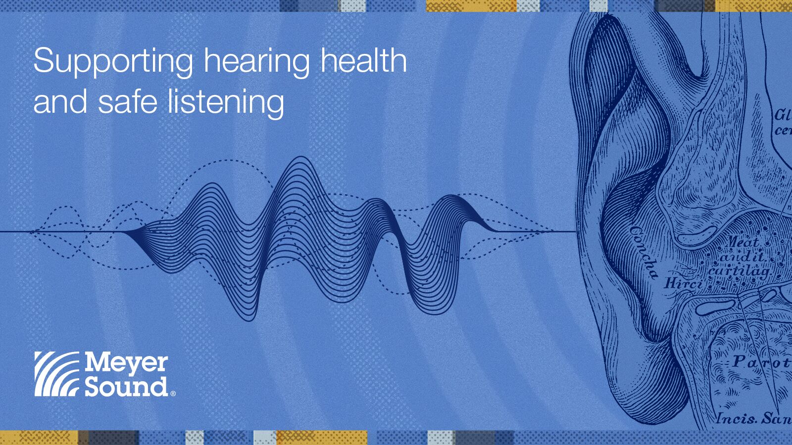 Meyer Sound Aligns With Industry Advances in Hearing Health
