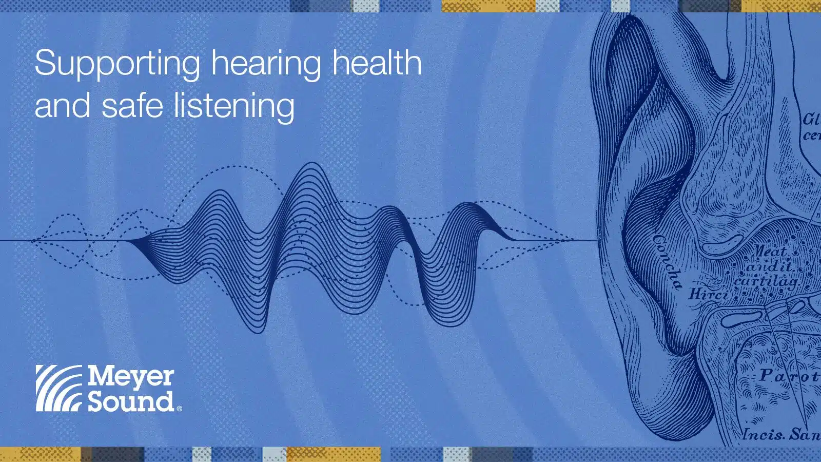 Meyer Sound Aligns With Industry Advances in Hearing Health